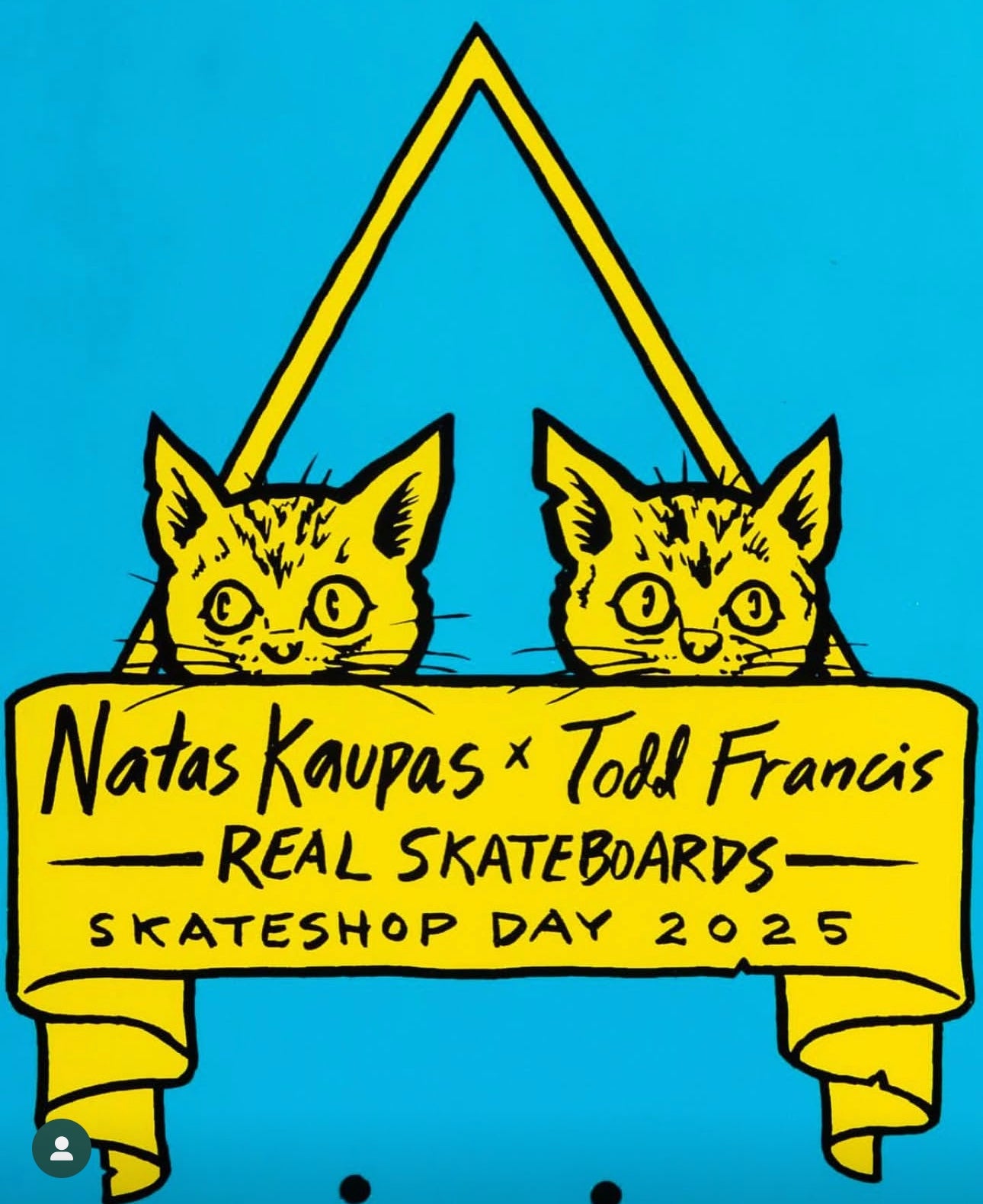 REAL NATAS X TODD FRANCIS SSD 25 GUEST PRO MODEL DECK 10.891″ X 31.72″ BLUE
